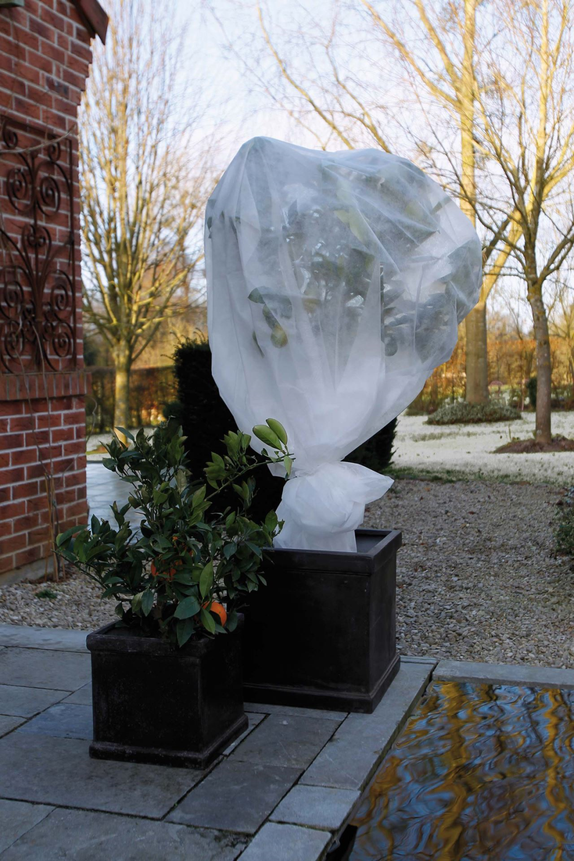 Nature vorstbeschermhoes - 30gr/m² - 200 x 500 cm - wit afbeelding
