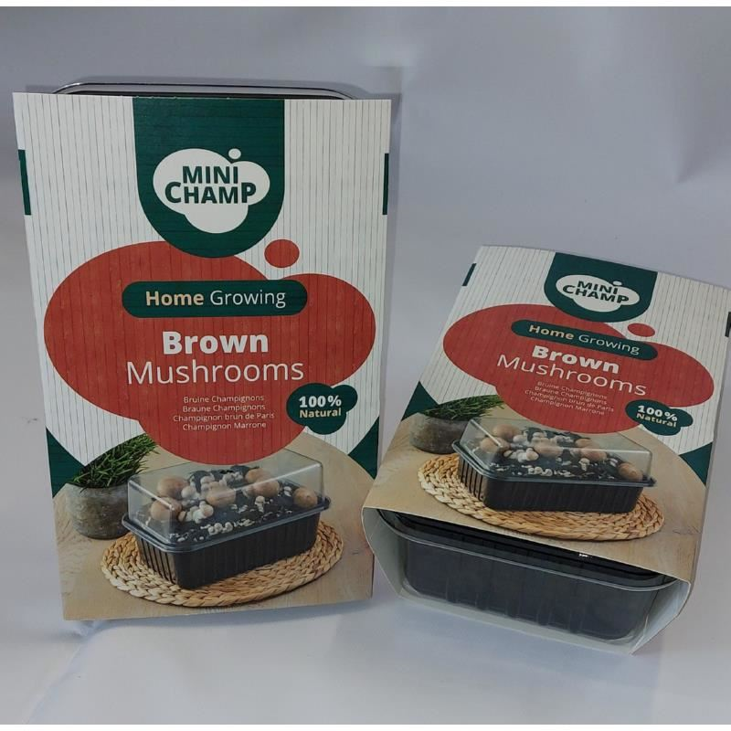 Mini Champ - kweekset bruine champignons - 3L afbeelding