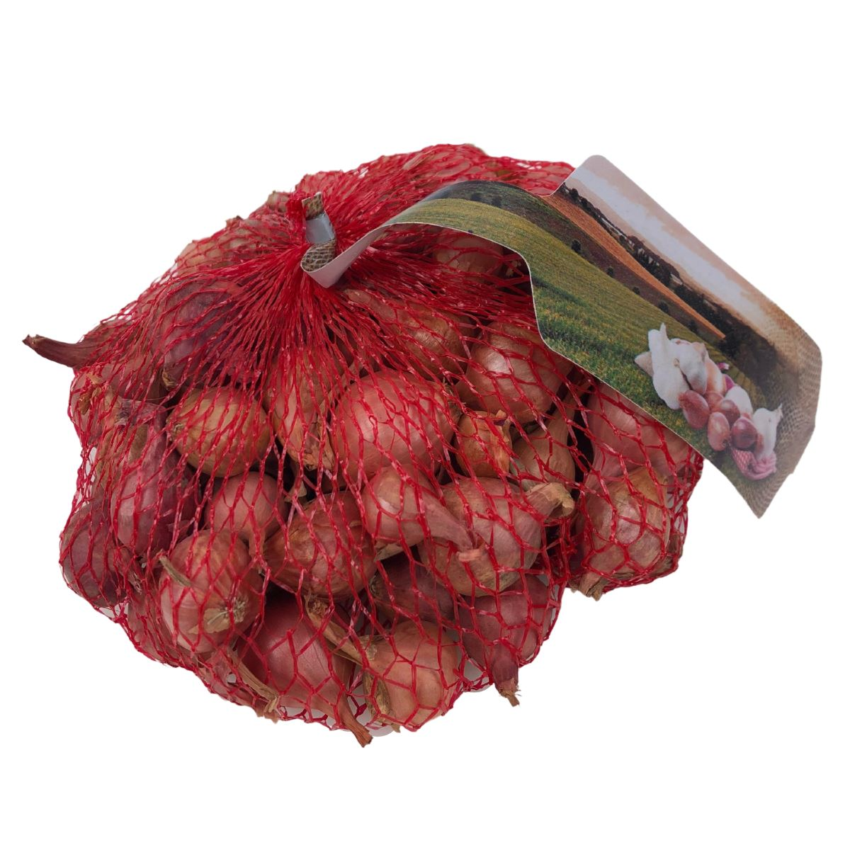 Buzzy plantajuin Ptusjka 14/21 - rode ui - netje 250gr afbeelding