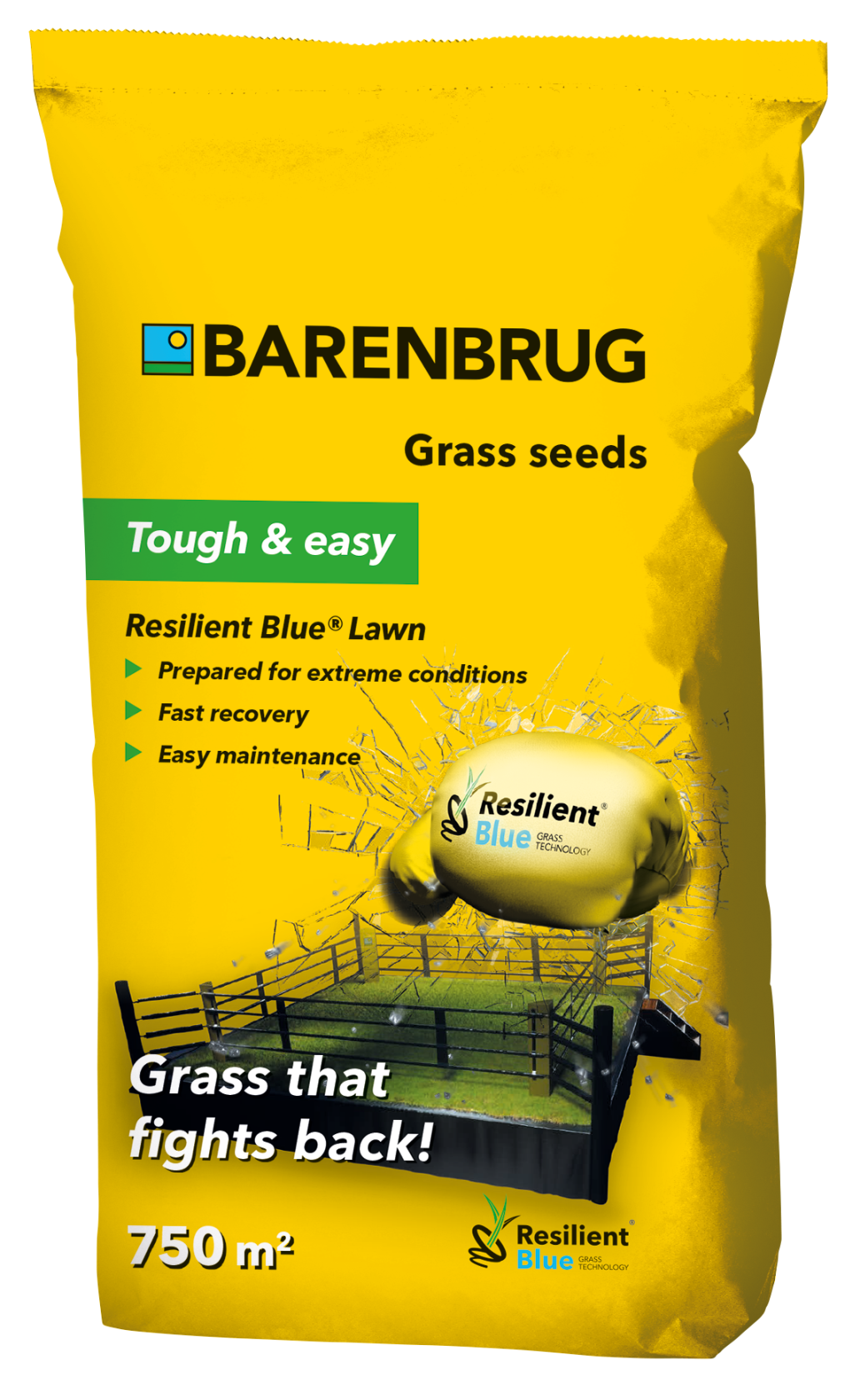 Barenbrug graszaad Resilient Blue Lawn - gras dat terugvecht - 15kg tot 750m² afbeelding