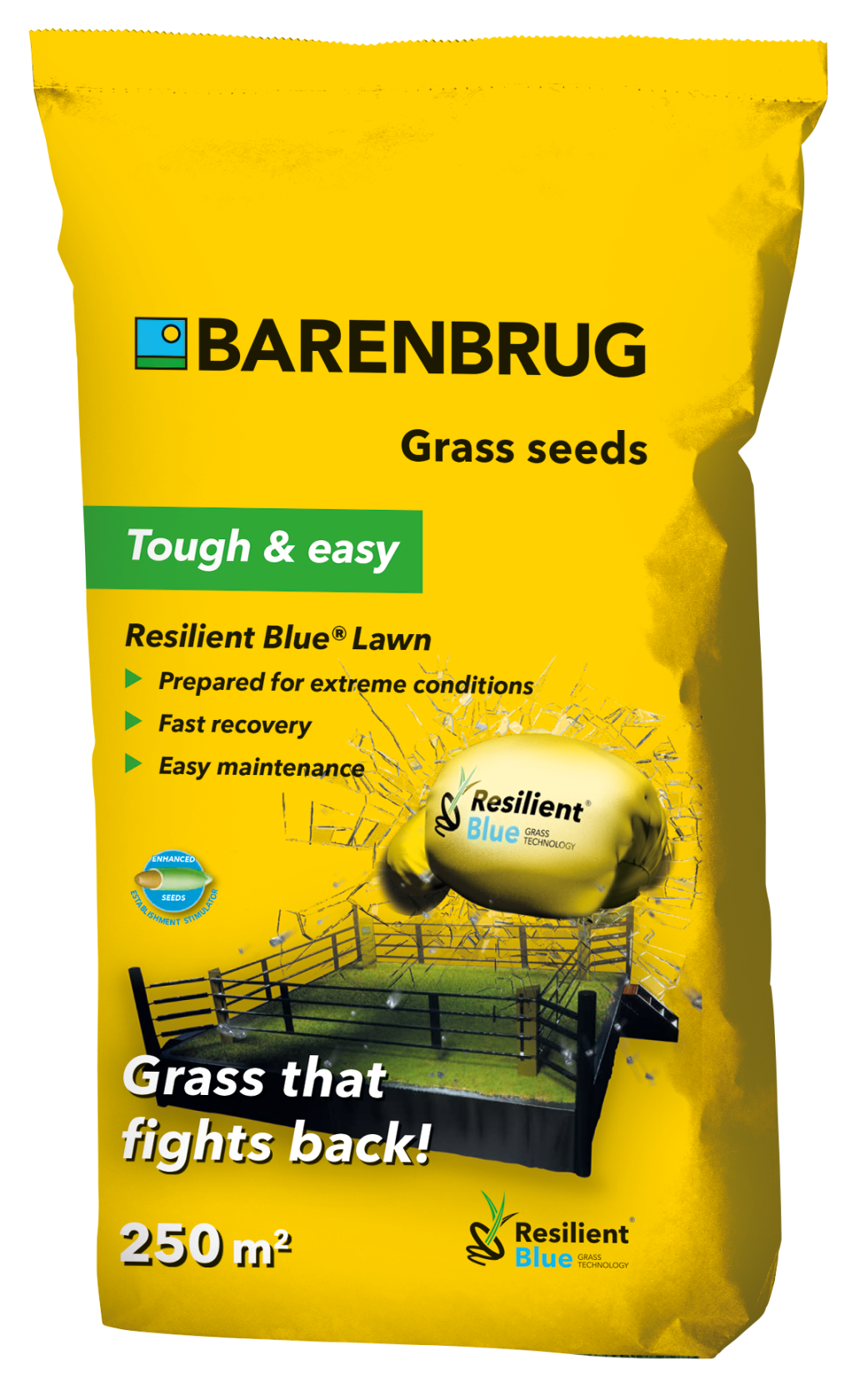 Barenbrug graszaad 5kg tot 250m² - Resilient Blue Lawn - gras dat terugvecht afbeelding