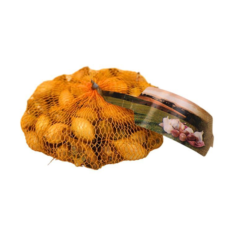 Buzzy Winter plantajuin Senshyu Yellow 14/21 - gele ui - netje 250 gr afbeelding