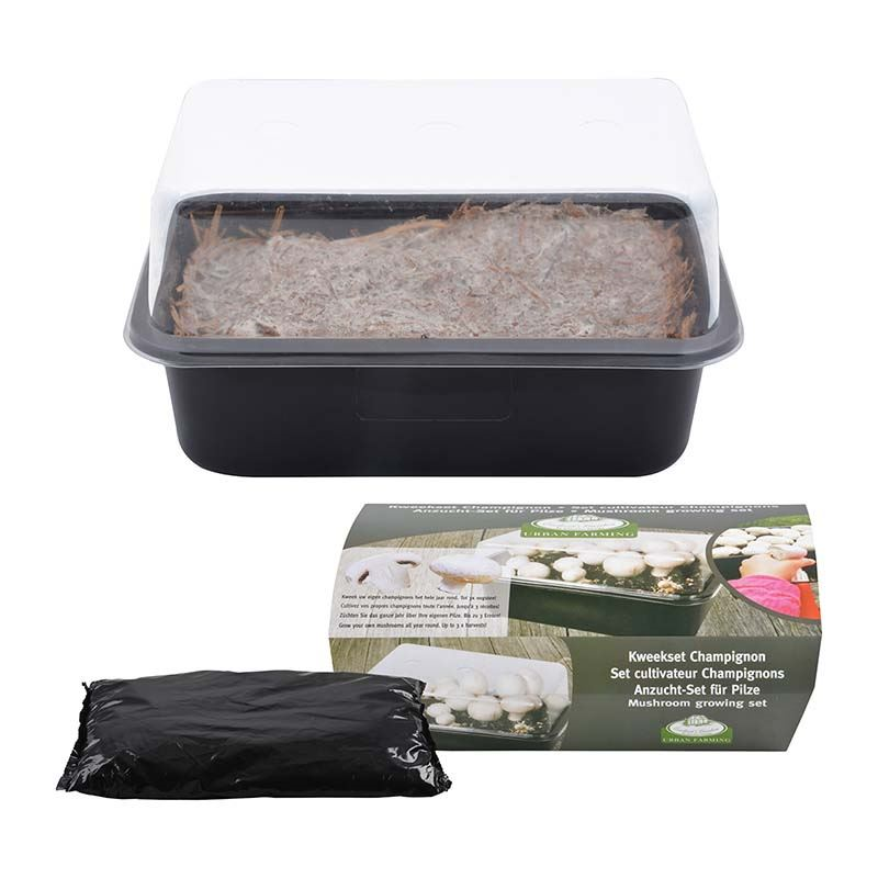 Esschert Design kweekset Champignon afbeelding