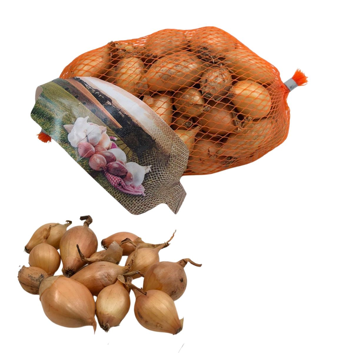 Buzzy plantajuin Sturon 14/21 - netje 250gr afbeelding