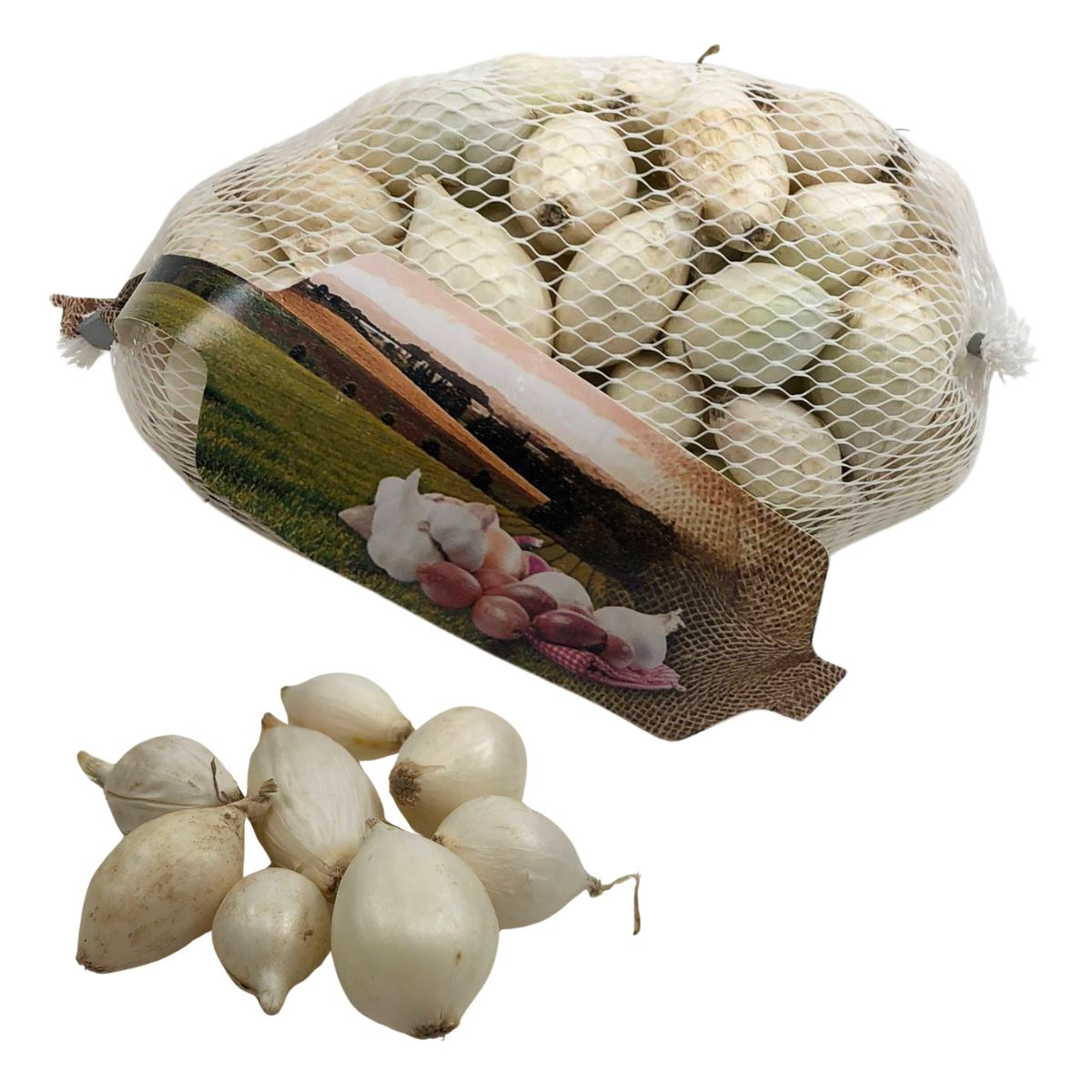 Buzzy plantajuin Snowball 14/21 - witte ui - netje 250 gr afbeelding