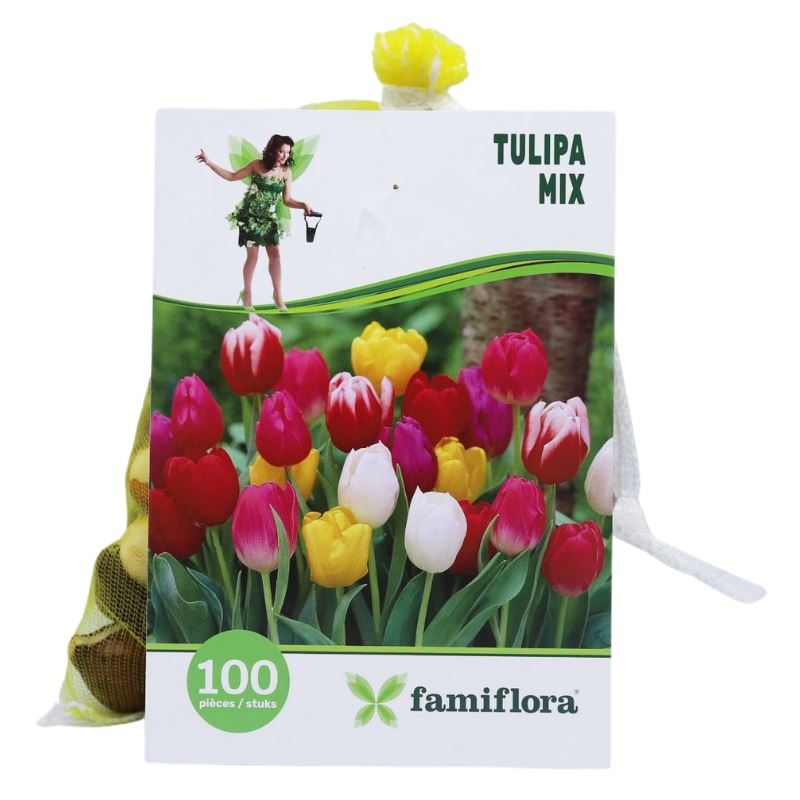Famiflora Tulpen Mix - Voorjaarsbloeiers kleurrijk - 100 bloembollen - Tulipa