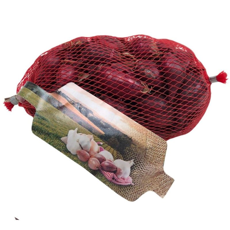 Buzzy rode plantajuin Red Baron 14/21 - rode ui - netje 250 gr afbeelding