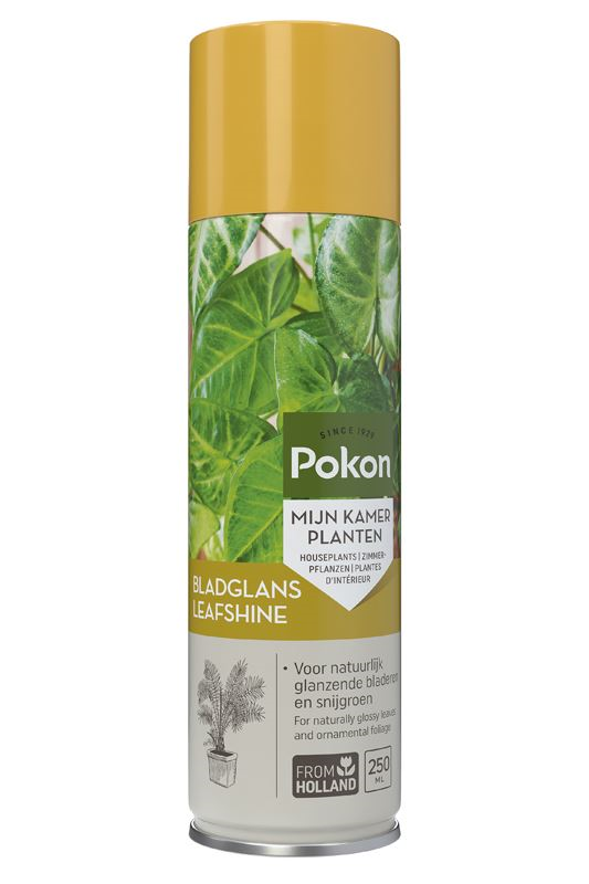 Pokon Bladglans - 250ml - Voor Binnen - Natuurlijke Glans - Voorkomt Stof en Kalkaanslag afbeelding