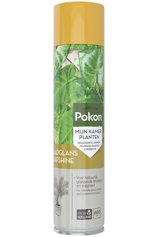 Pokon Bladglans - 600ml - Voor Binnen - Natuurlijke Glans - Voorkomt Stof en Kalkaanslag afbeelding