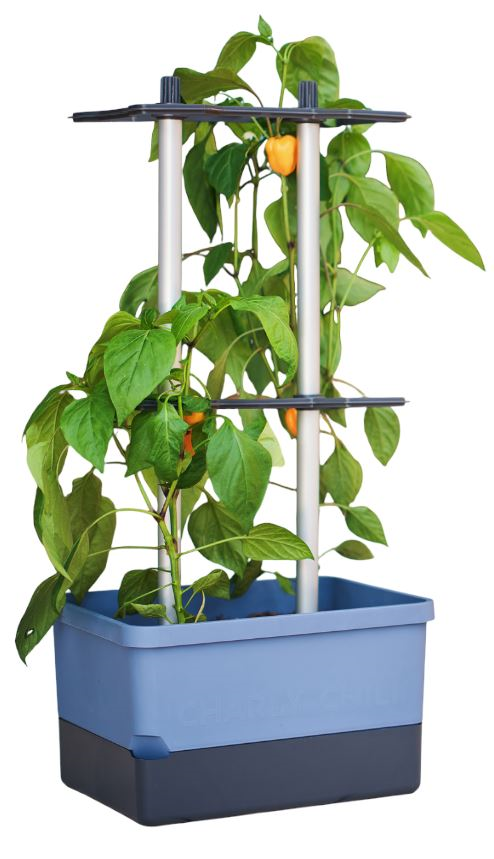 Gusta Garden CHARLY CHILI– peperkweekpot met waterreservoir en klimsteun - blauw afbeelding