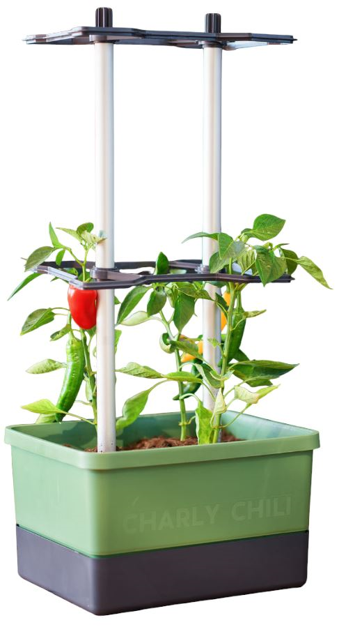 Gusta Garden CHARLY CHILI– peperkweekpot met waterreservoir en klimsteun - donkergroen afbeelding