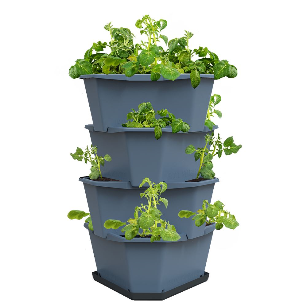 Gusta Garden PAUL POTATO - aardappeltoren - 4 niveaus - blauw afbeelding