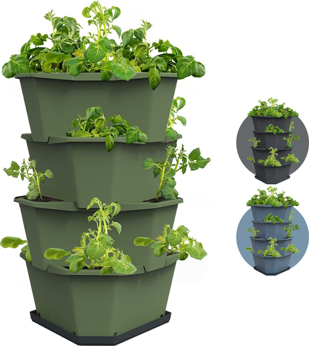 Gusta Garden PAUL POTATO - aardappeltoren - 4 niveaus - donkergroen afbeelding