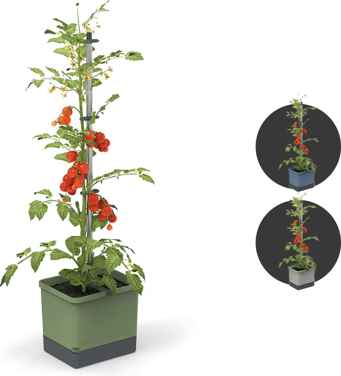 Gusta Garden TOM TOMATO - tomatenpot met waterreservoir - donkergroen afbeelding