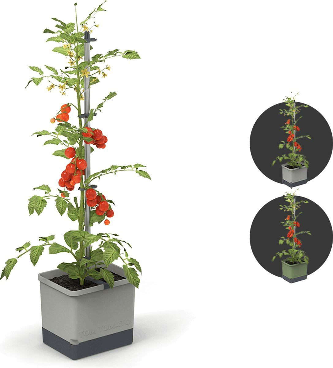 Gusta Garden TOM TOMATO - tomatenpot met waterreservoir - lichtgrijs afbeelding