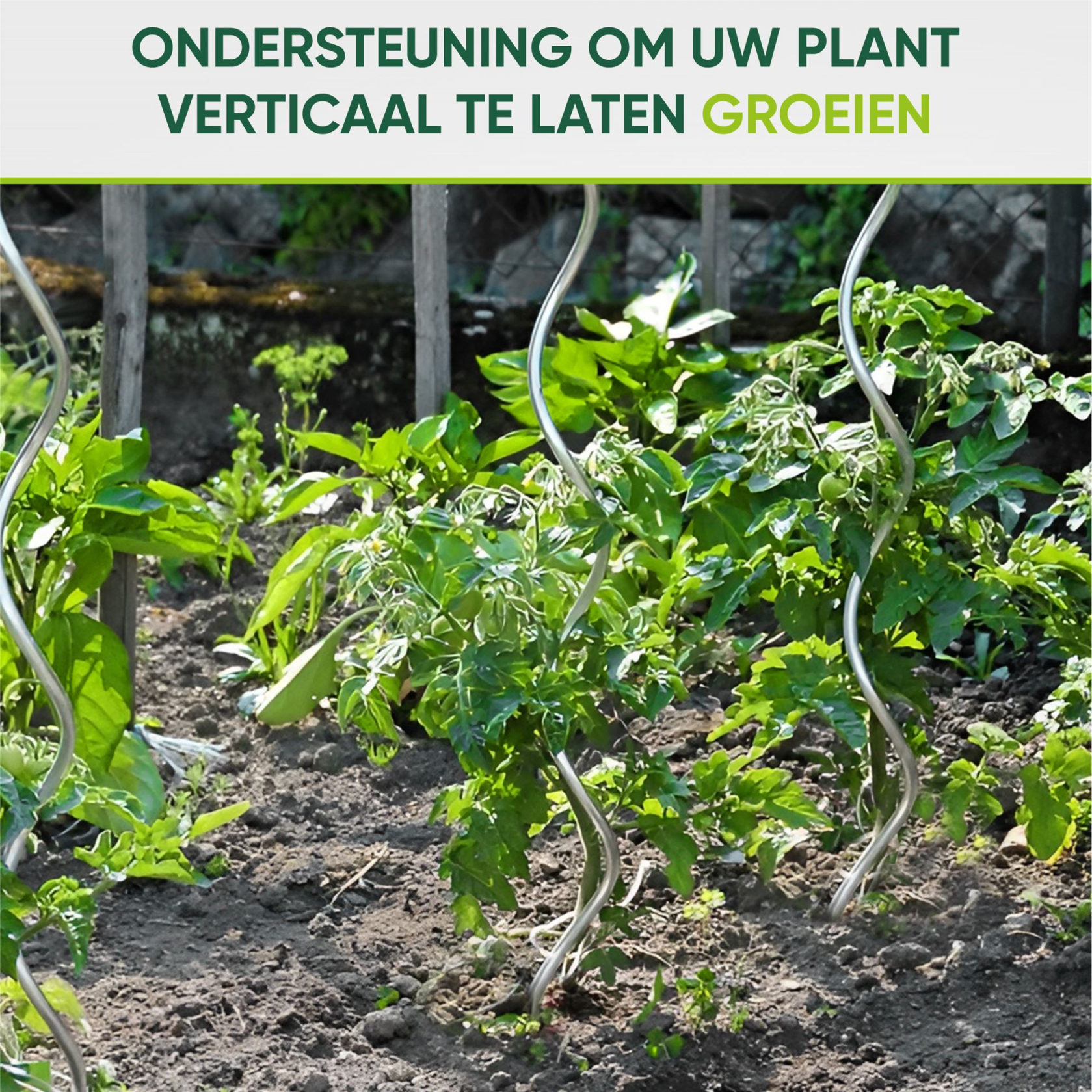 Famiflora tomatenspiralen verzinkt – 1m70