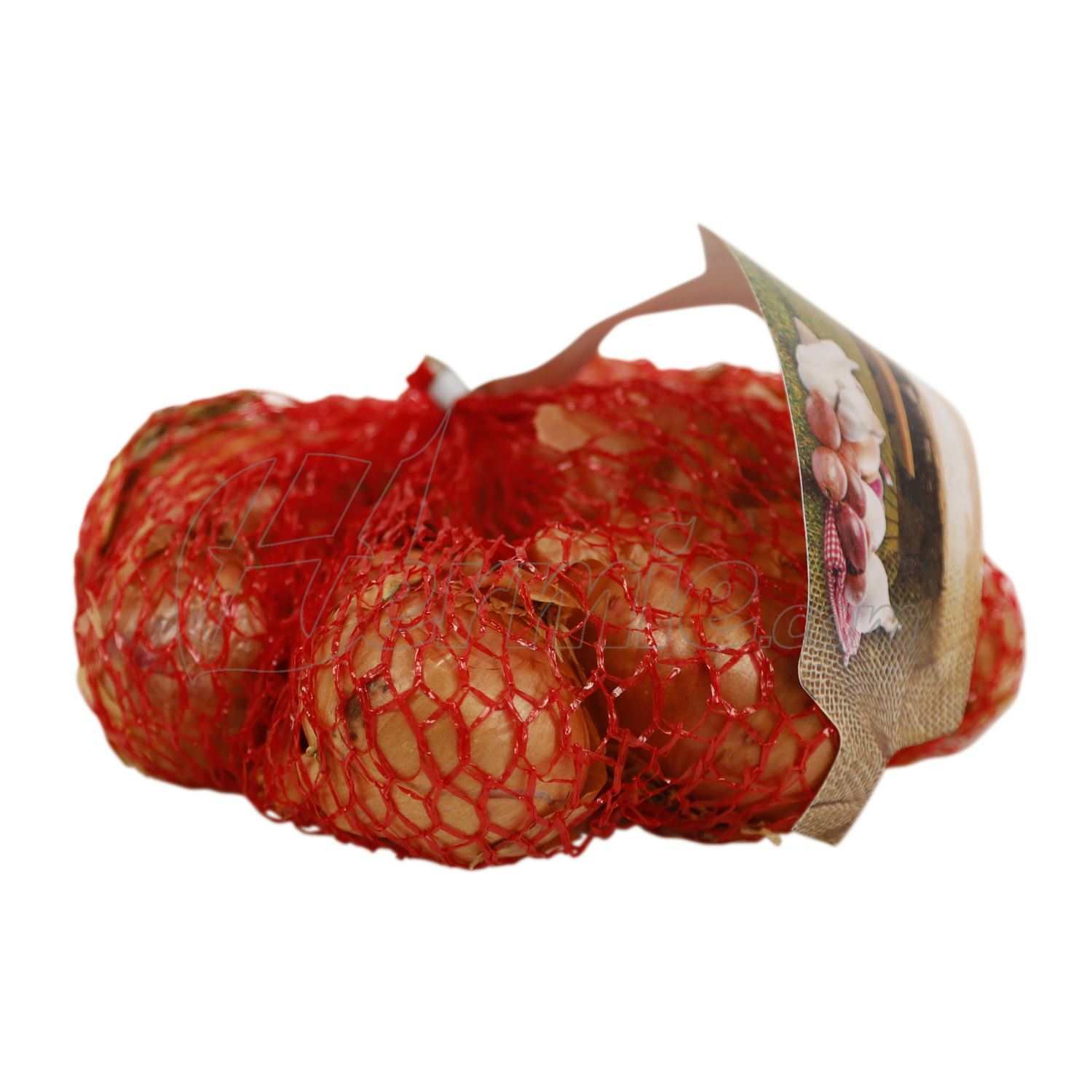Rode plantsjalot Red Sun - netje 250g afbeelding