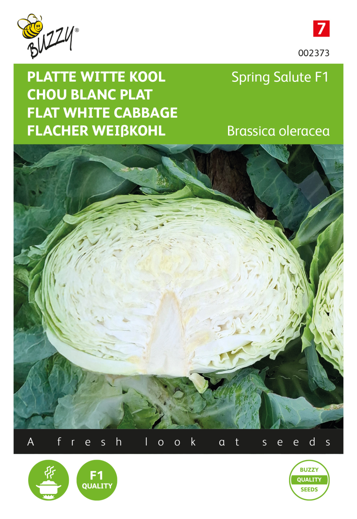 Buzzy® Platte Witte kool Spring Salute F1 afbeelding