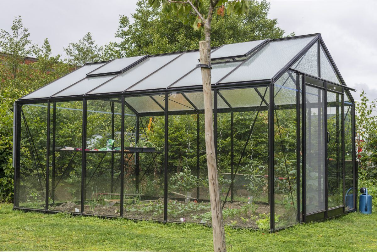 ACD Prestige R306 serre - 3,06 x 4,45m - Blackline
