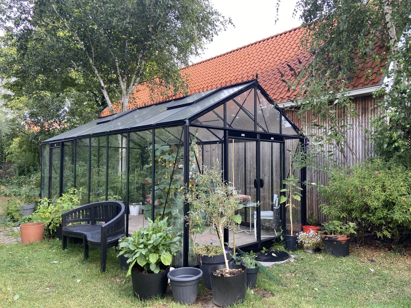 ACD Prestige R308XH serre - 3.06 x 5.93m - extra hoog - Blackline