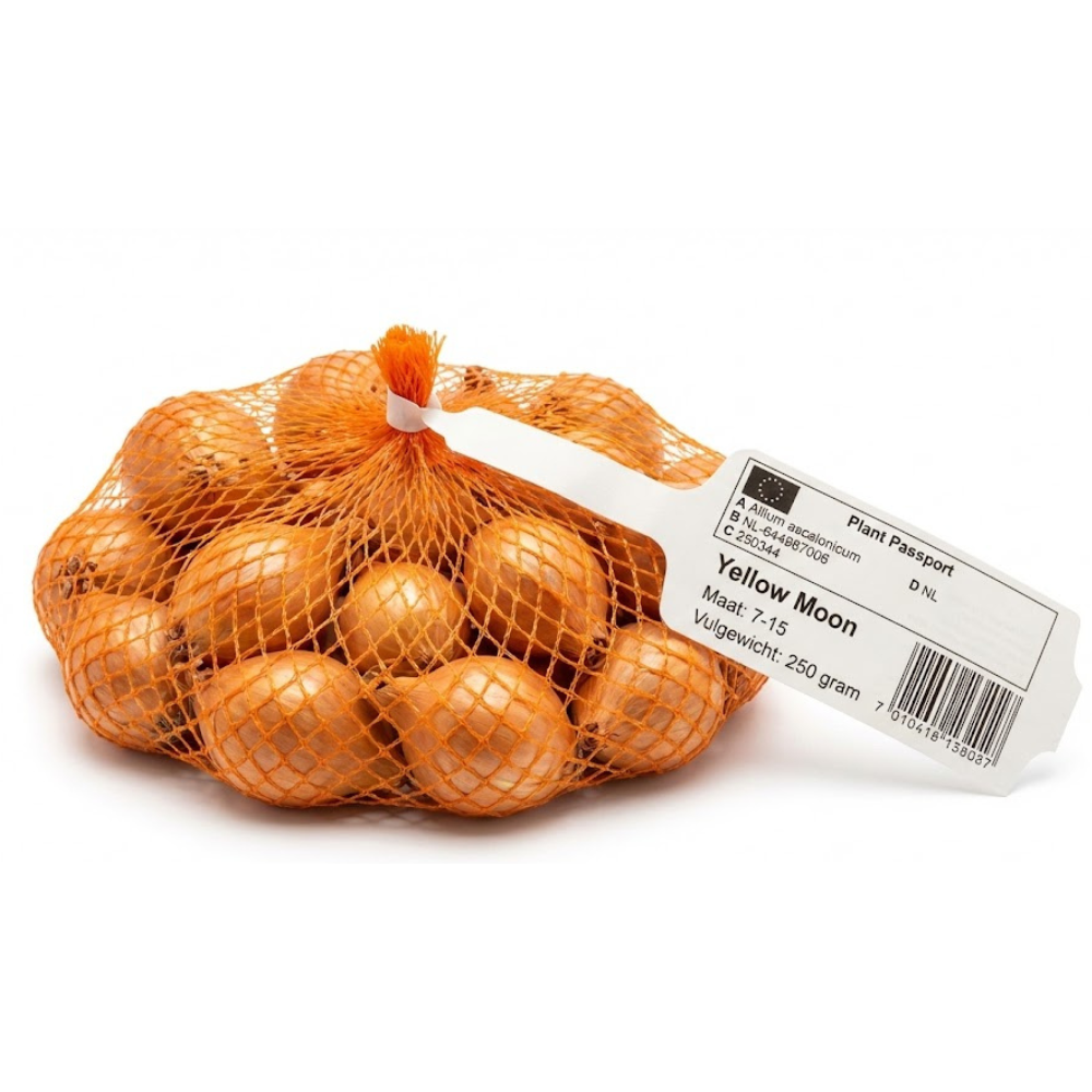 Plantsjalot Yellow Moon - 7/15 - netje - 250g afbeelding