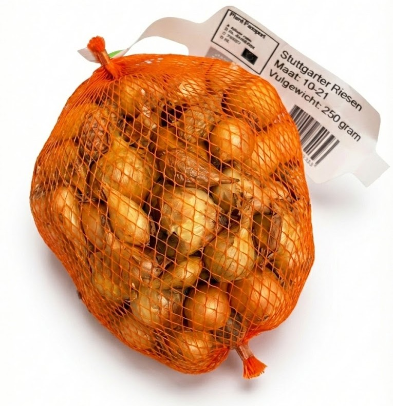 Buzzy plantajuin BIO Stuttgarter Riesen 14/21 - gele ui - netje 250g afbeelding