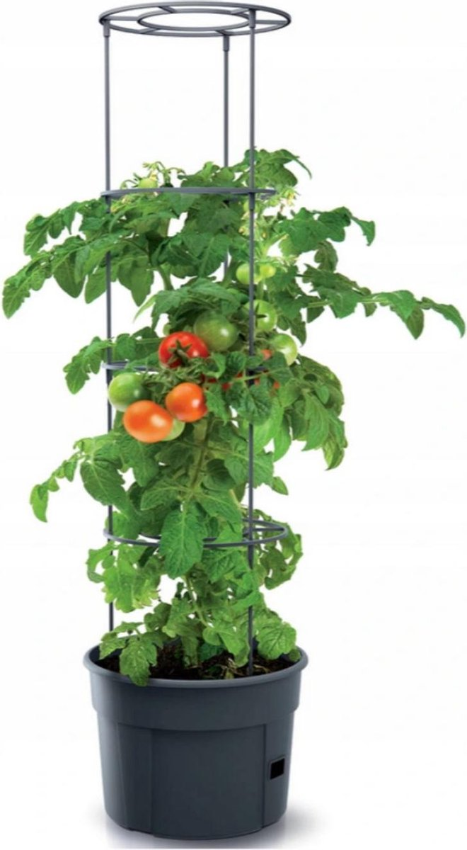 Prosperplast Tomato Grower Tomatenpot - Antraciet -Ø 29,5 cm - 12 Liter afbeelding
