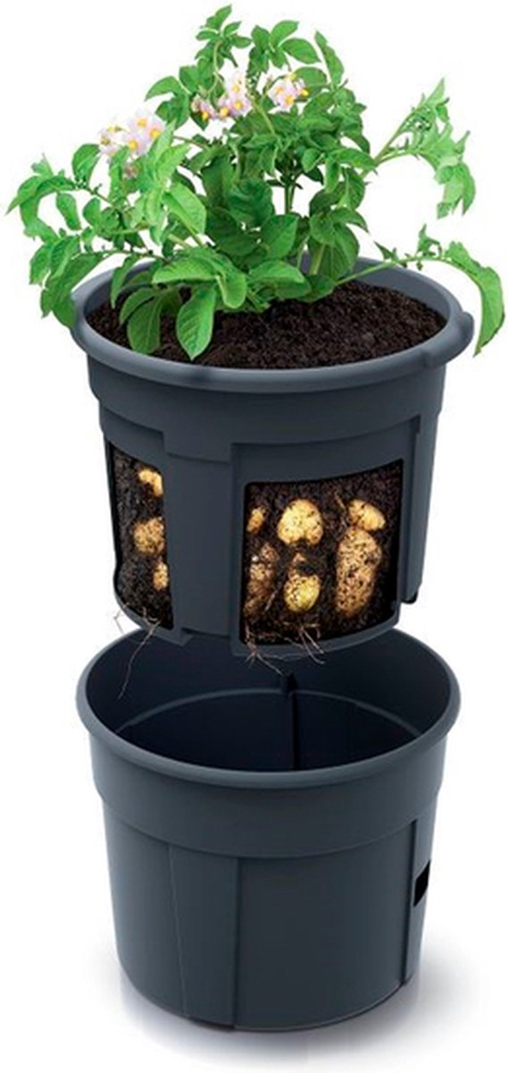 Prosperplast Potato Grower Aardappelkweekbak - Antraciet - 28 Liter - 39 x 39 cm