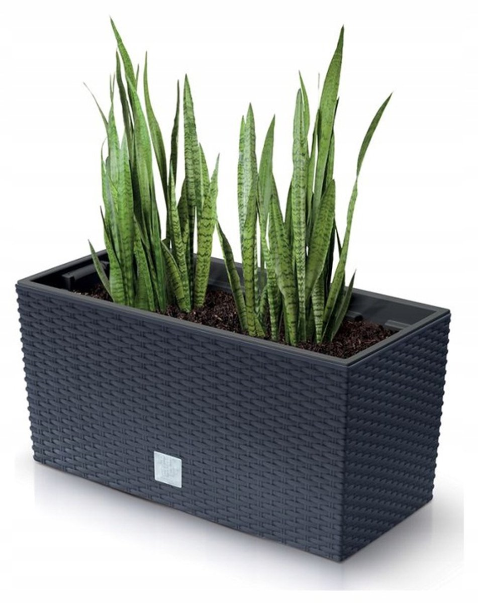 Prosperplast Rato Case Balkonbak - Antraciet - 39,5 cm - Rotan look afbeelding