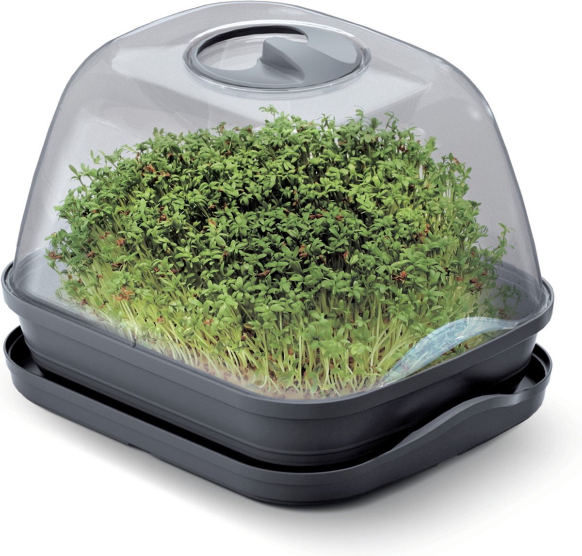 Prosperplast Respana Table Greenhouse - Kweekbak met deksel - 25,7 x 19,6 cm - Antraciet