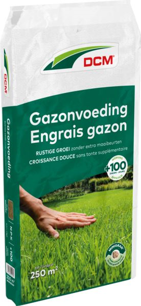 DCM gazonmeststof 20kg voor 250m²