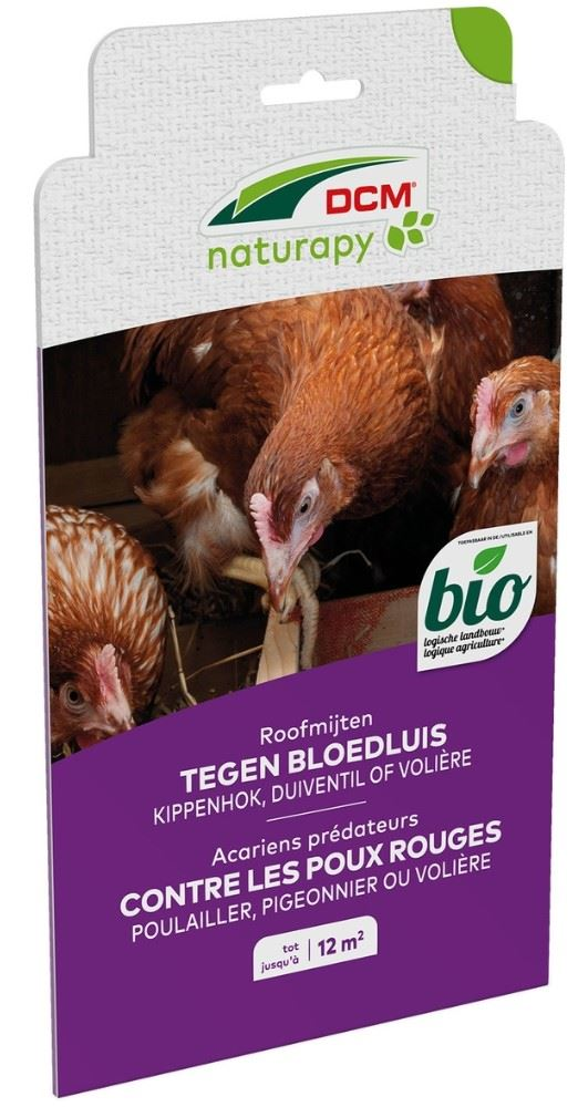 DCM Hypoaspi Guard - 10000 roofmijten tegen bloedluis/rode vogelmijt - 12m²