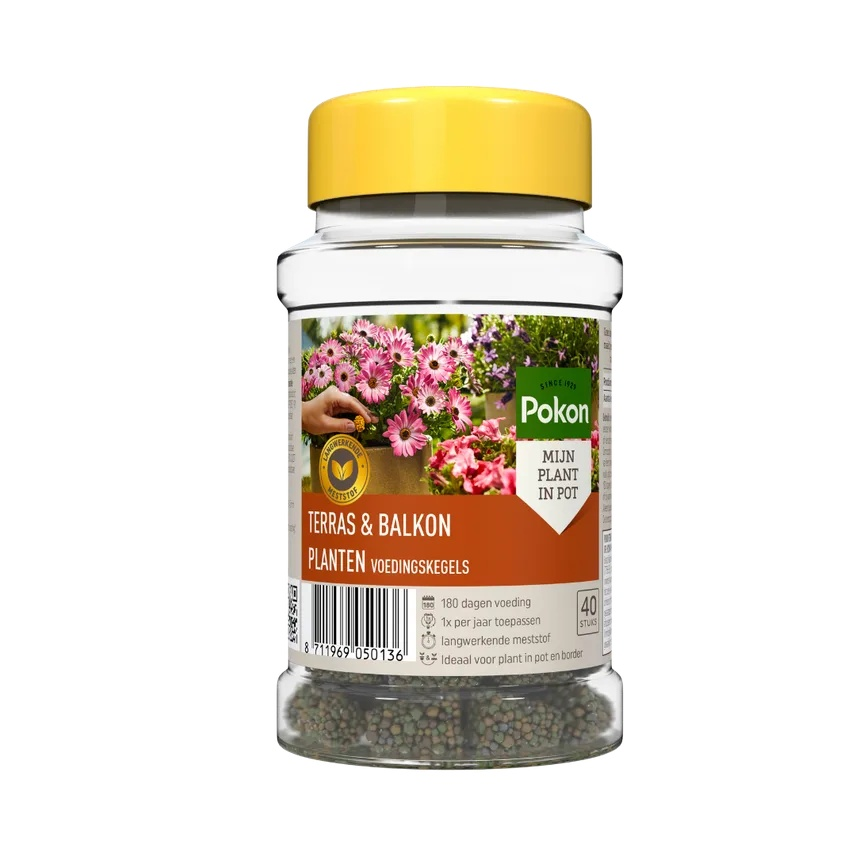 Pokon Terras&Balkon Planten voedingskegels - 40 stuks - 180 dagen voeding afbeelding