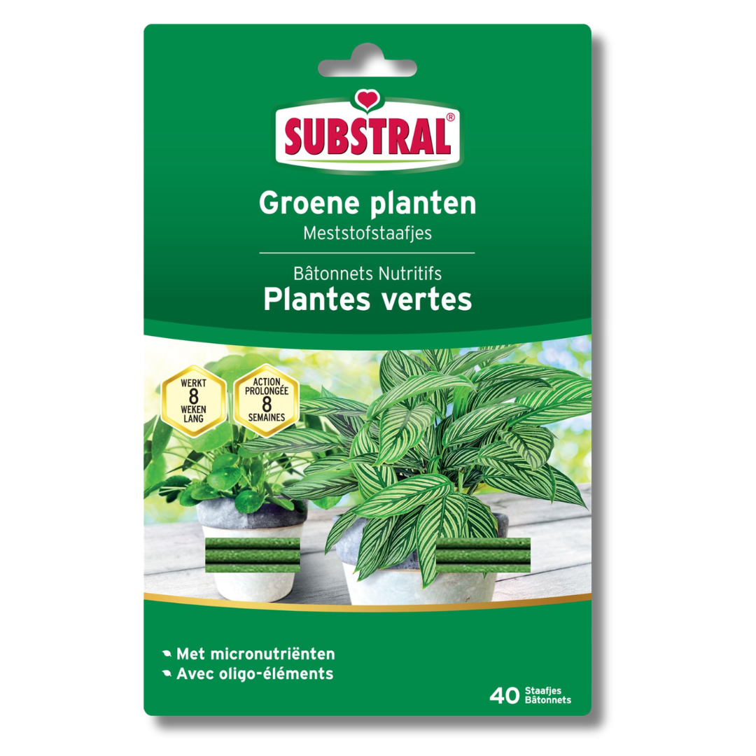 Substral meststof voor groene planten - staafjes - 40 stuks