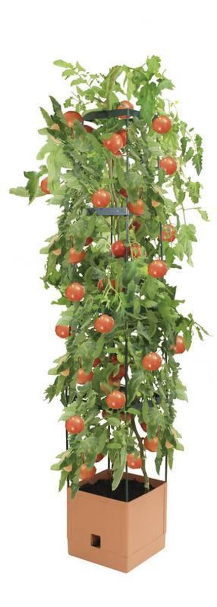 BioGreen Tomatenpot 16L met waterreservoir - Terracotta - voor het kweken van klimplanten