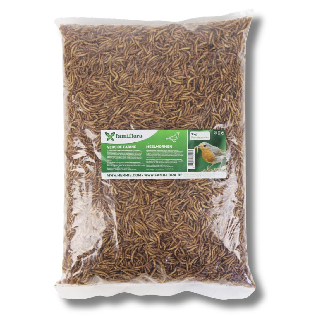 Famiflora gedroogde meelwormen 1 kg = ± 6L in zak - voor tuinvogels