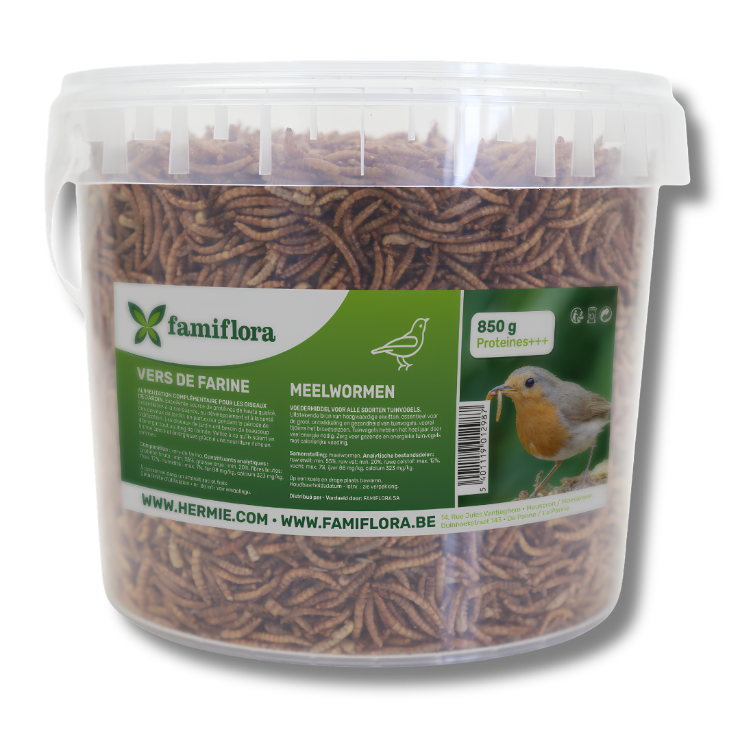 Famiflora gedroogde meelwormen 850 g = ± 5L in hersluitbare emmer - voor tuinvogels