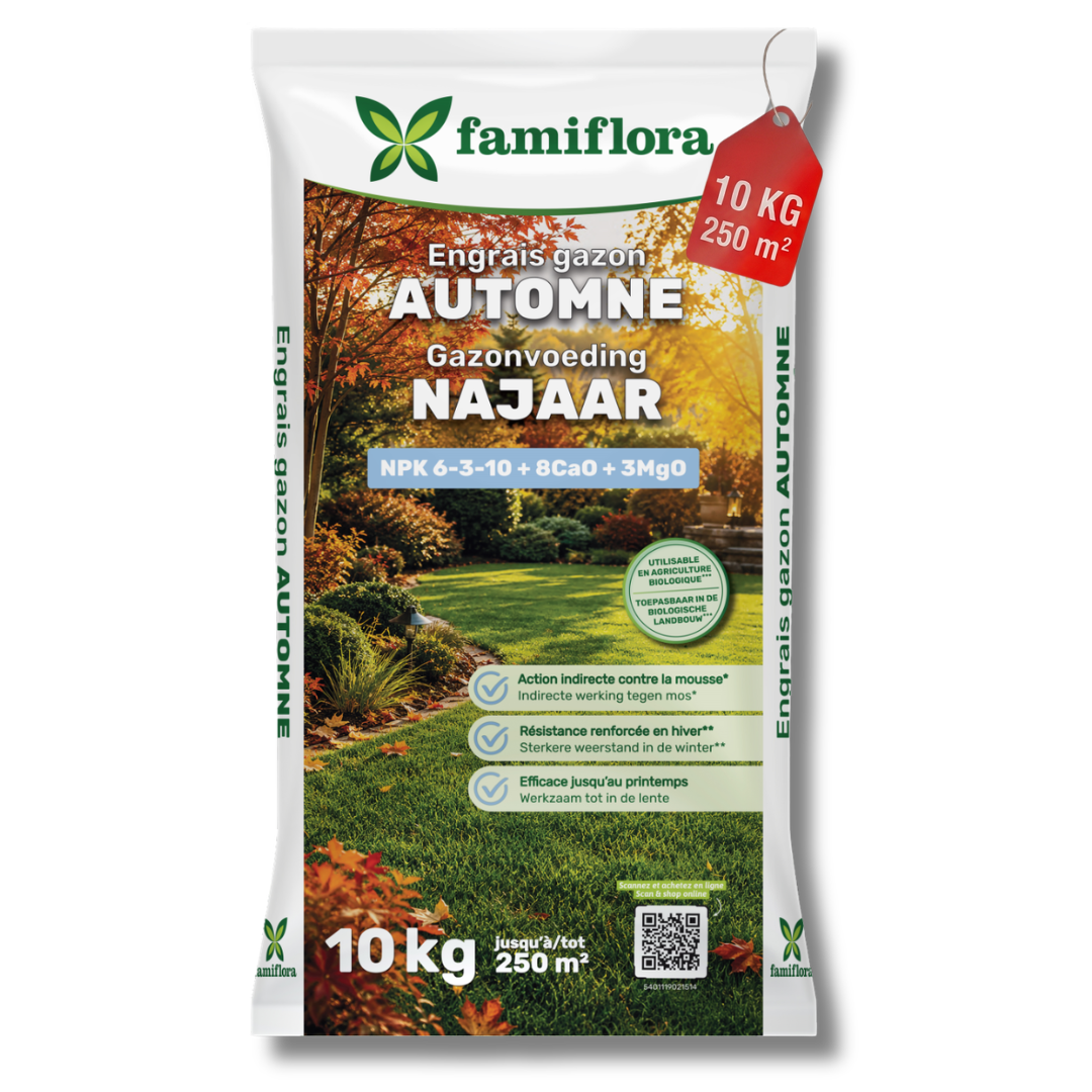 Famiflora gazonvoeding voor het najaar - 10kg voor 250m² - gazonmeststof - najaarsmeststof