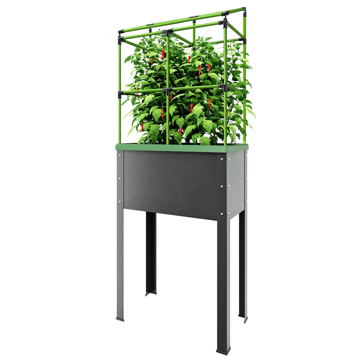 BioGreen City Jungle Kweekbak - 34 liter - Met irrigatiesysteem - Inclusief klimhulp