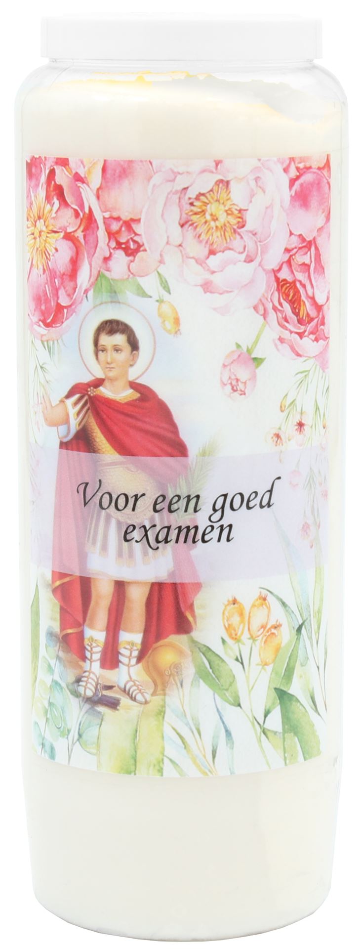 Noveenkaars wit - Goed examen afbeelding
