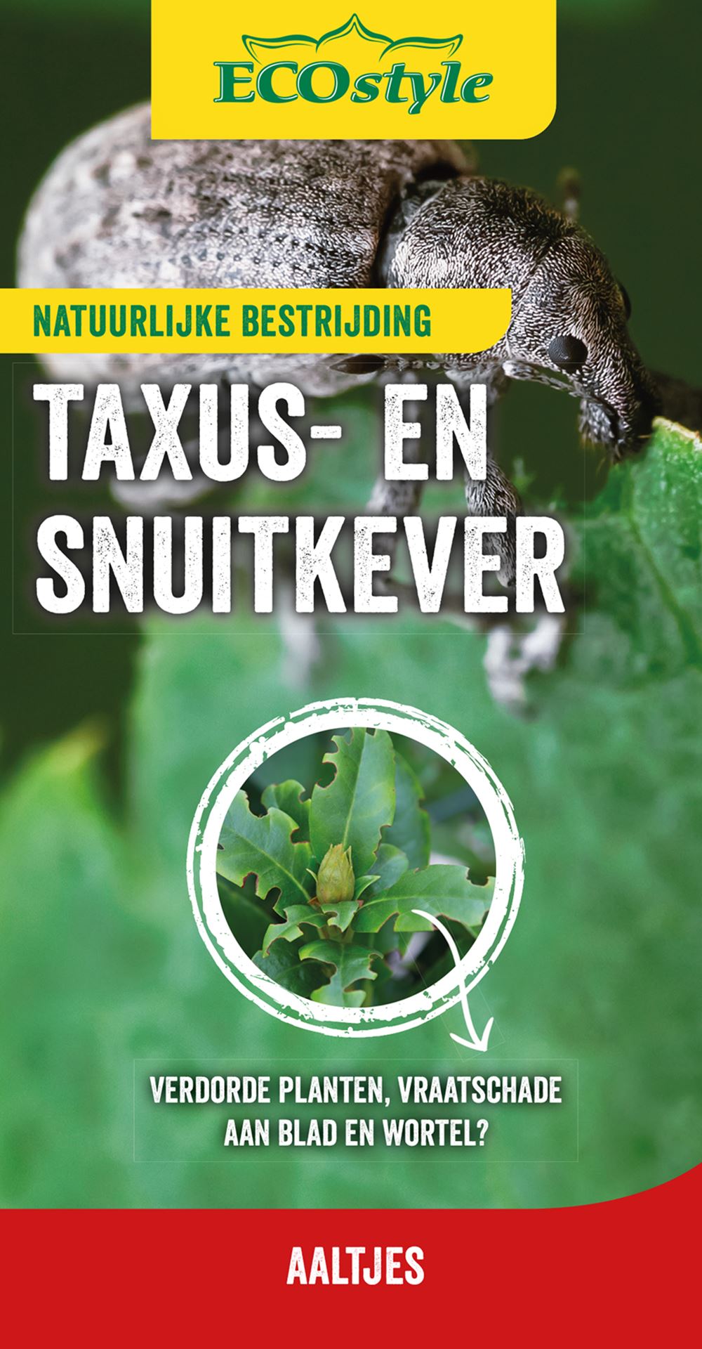 ECOstyle Aaltjes tegen taxuskever - 1 aaltjesval