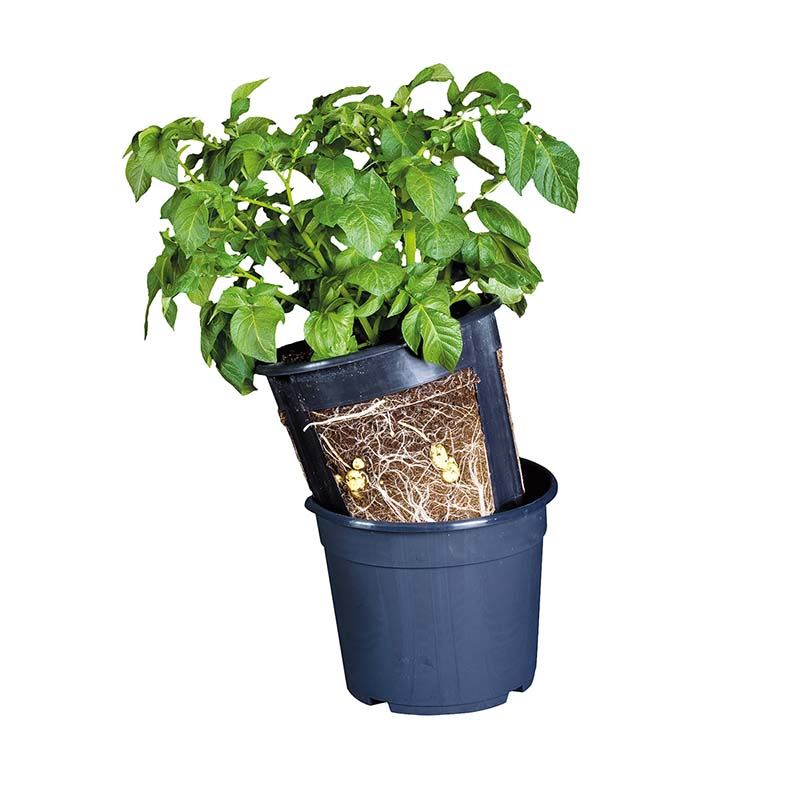 Esschert Design aardappelkweekpot - blauw - 29,6cm x 29,6cm x 27cm afbeelding