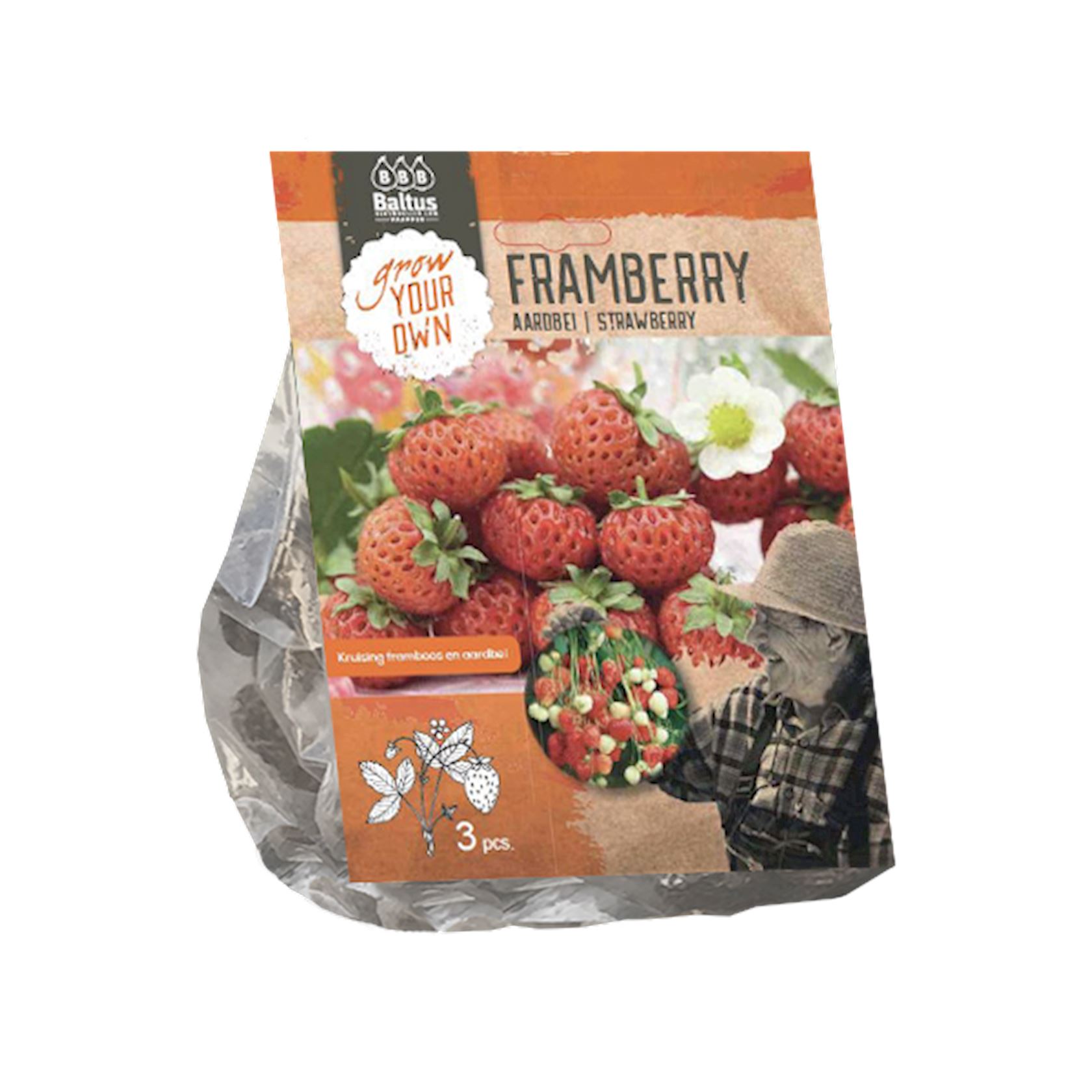 Aardbei Framberry per 3 afbeelding