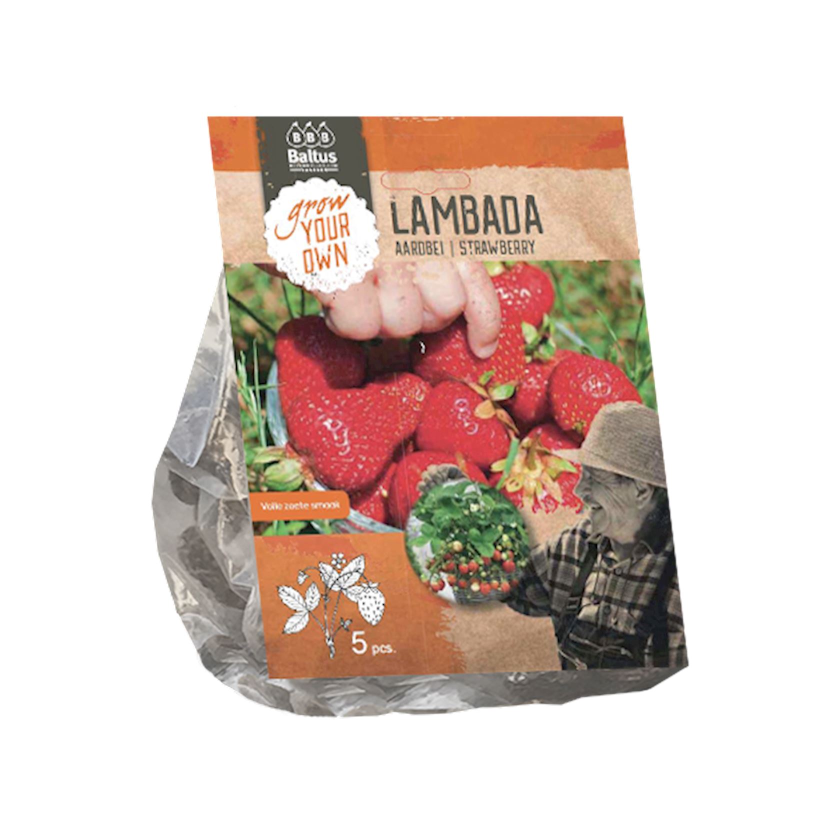 Aardbei Lambada per 5 afbeelding