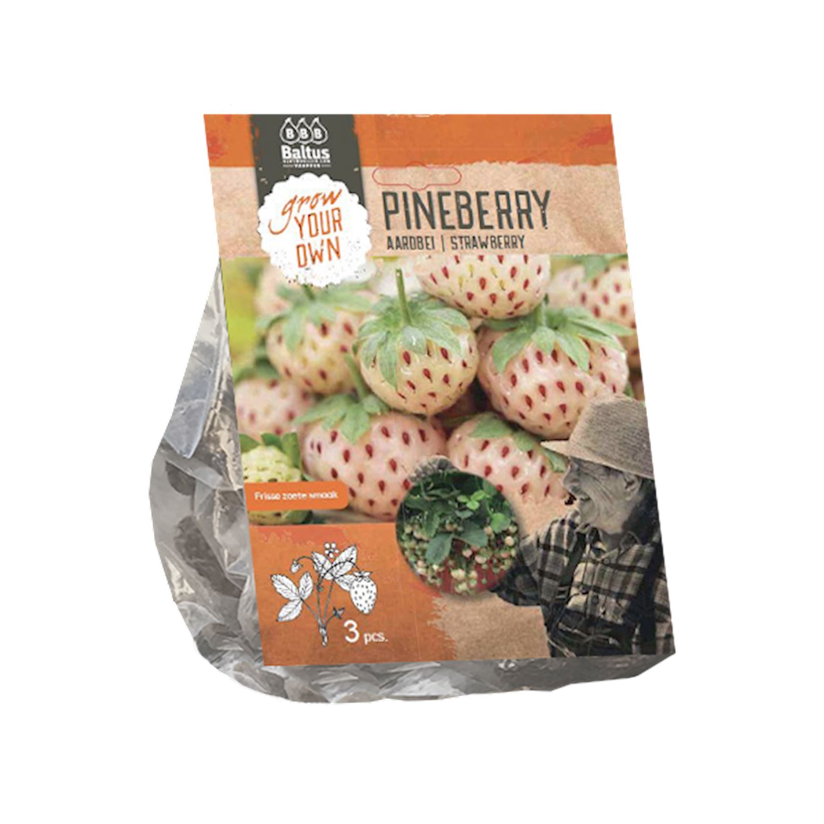 Aardbei Pineberry per 3 afbeelding