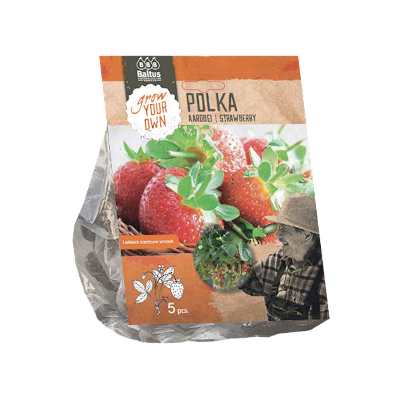 Aardbei Polka per 5 afbeelding