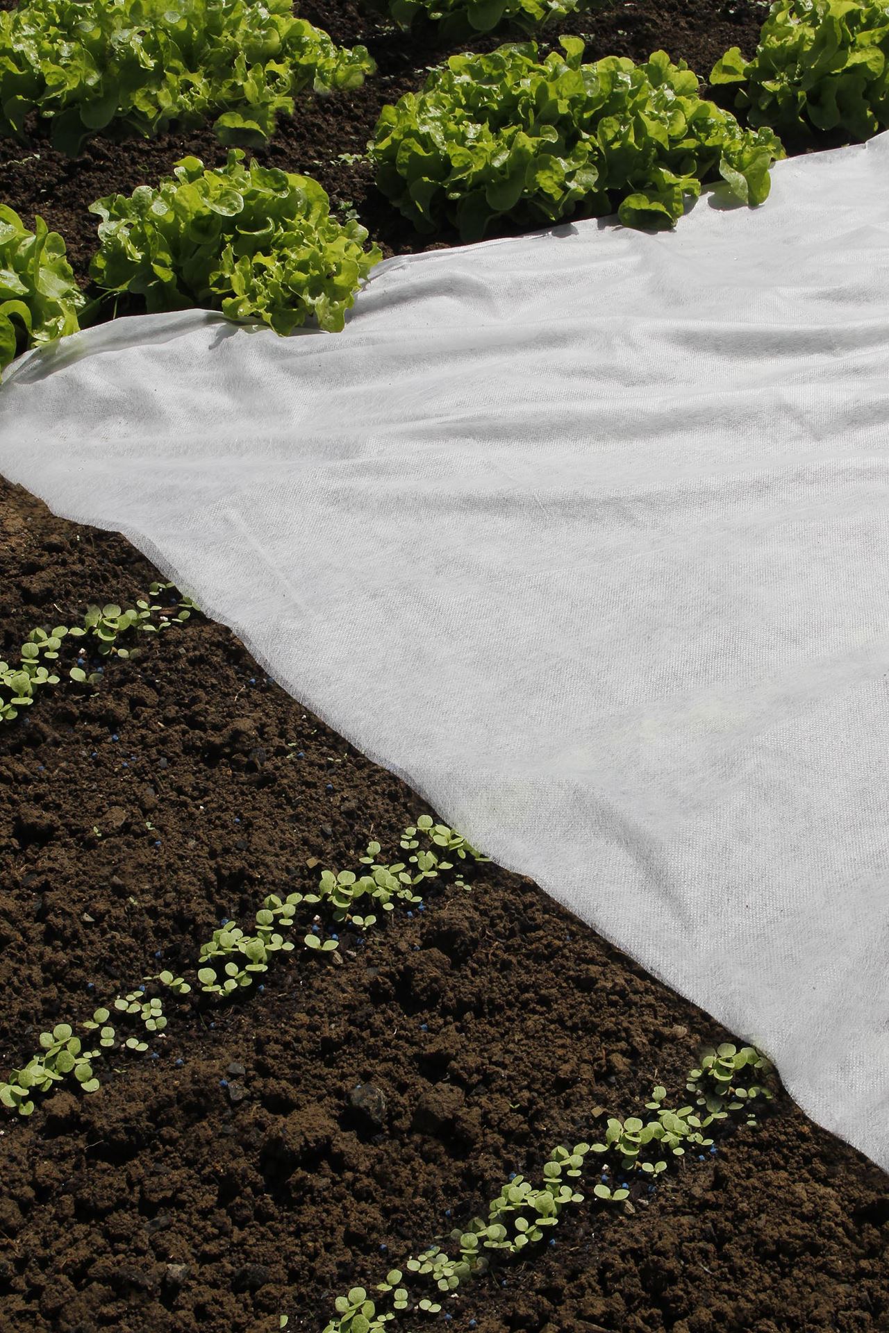 Nature afdekvlies - 2m x 5m afbeelding