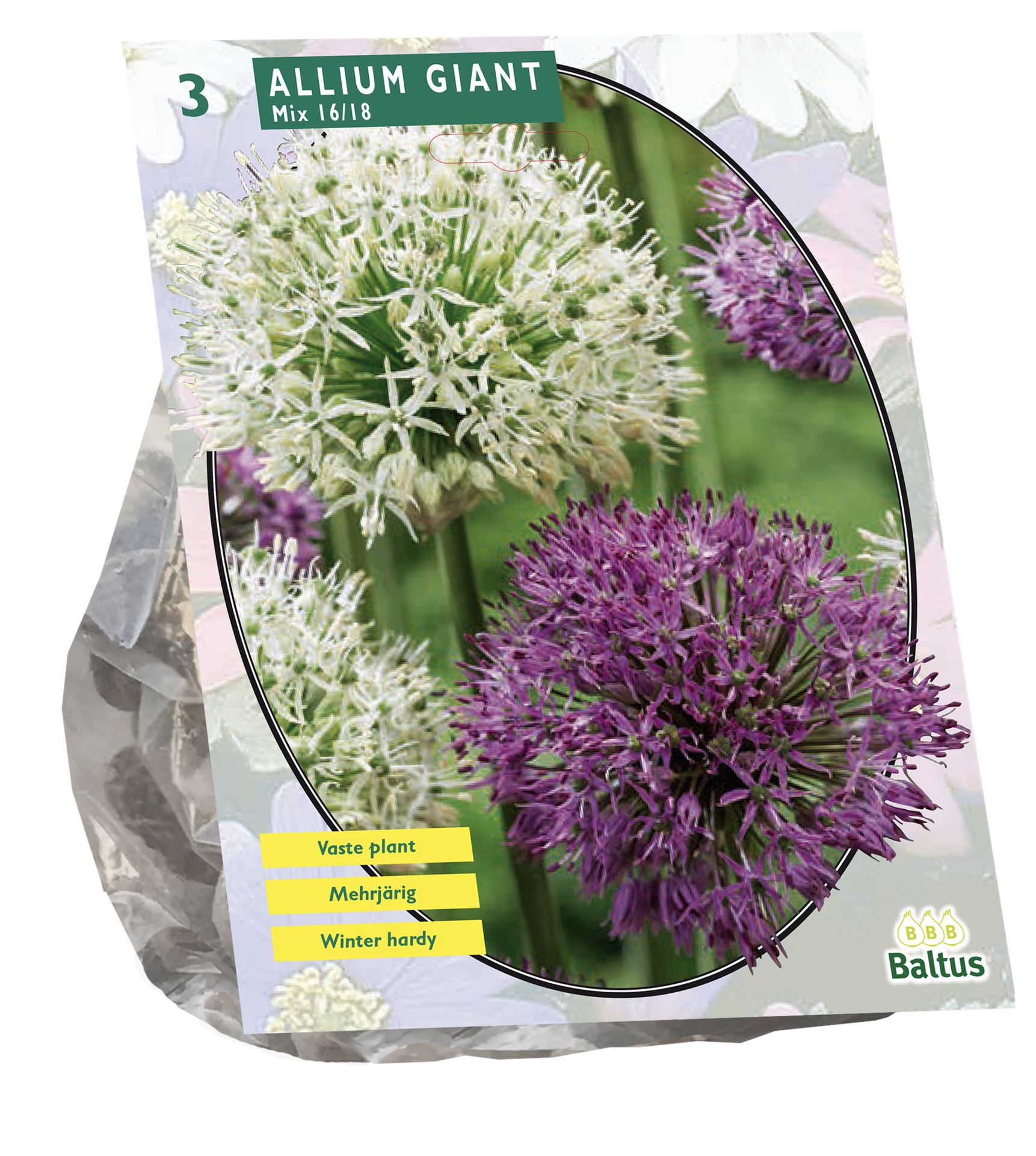 Baltus'Allium Giant'voorjaarsbloeiers - Mix - 3 bollen afbeelding
