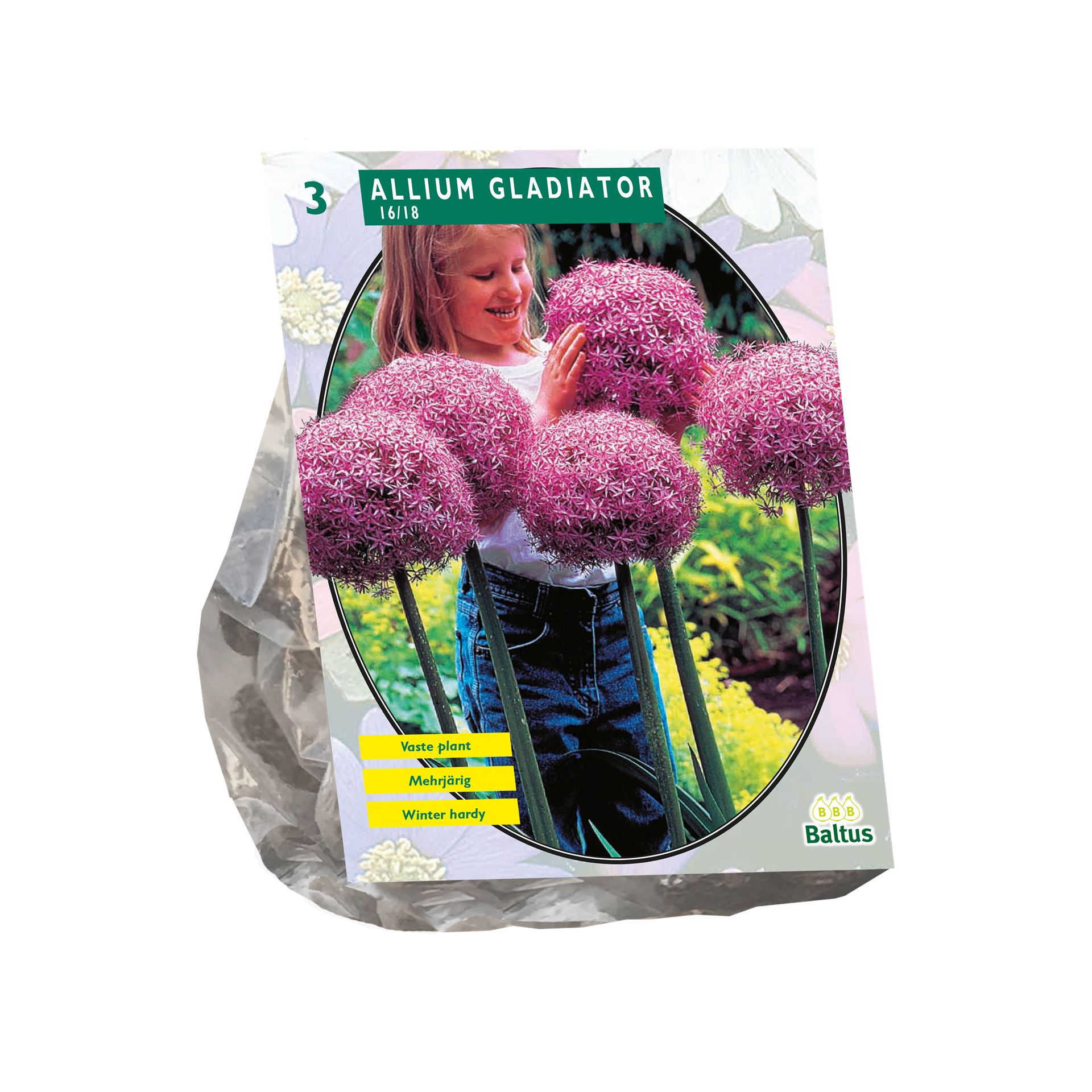 Baltus'Allium Gladiator his Excellence'voorjaarsbloeiers - 3 bollen afbeelding