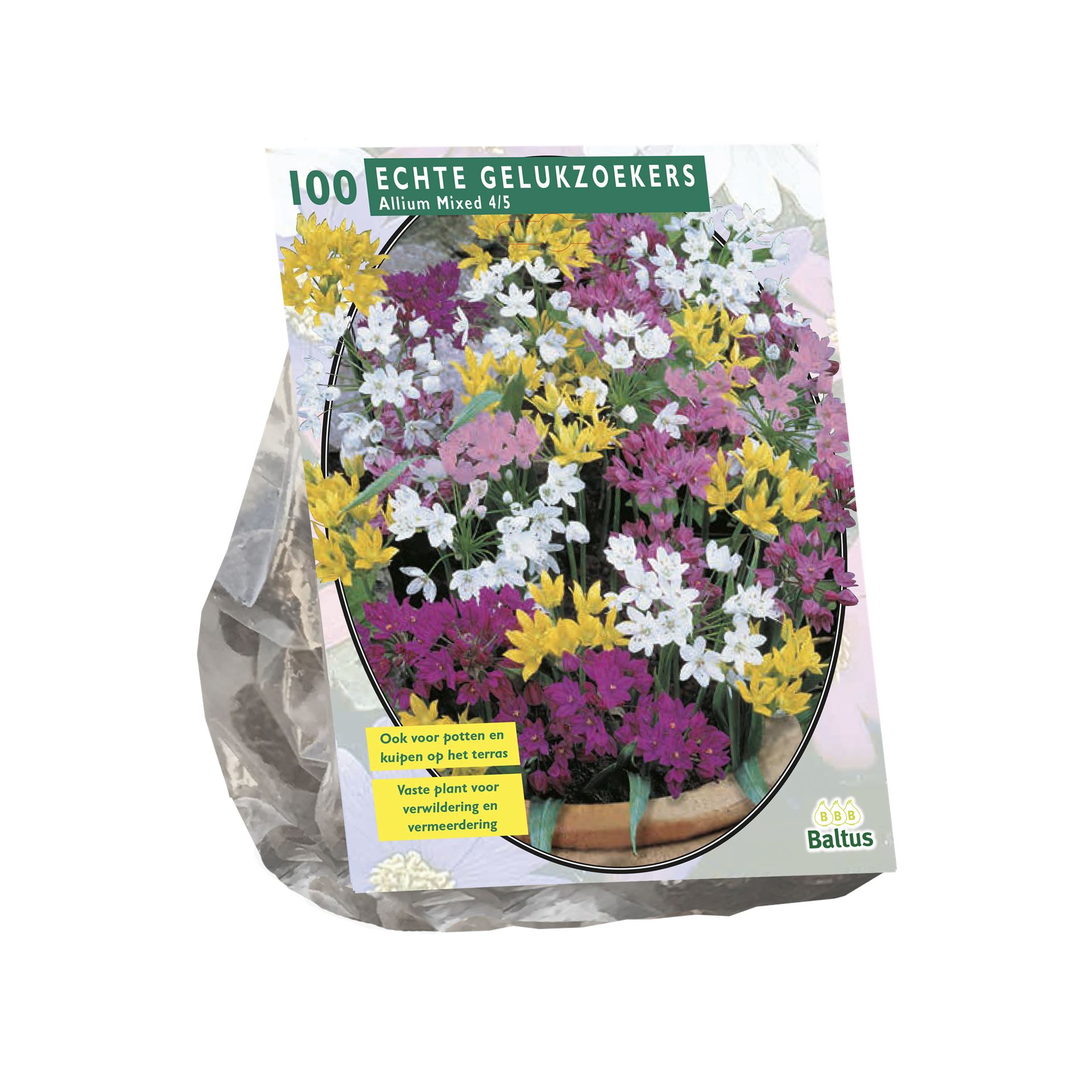 Baltus'Allium paars-wit'voorjaarsbloeiers - Mix paars-wit - 100 bollen afbeelding